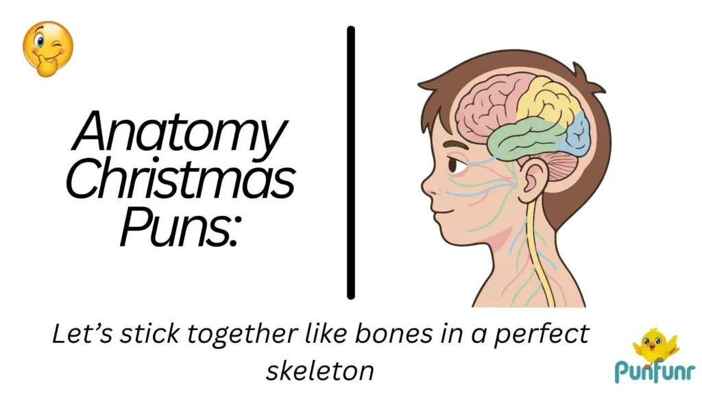 Anatomy Christmas Puns: