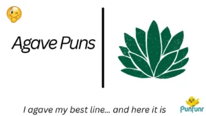 Agave Puns