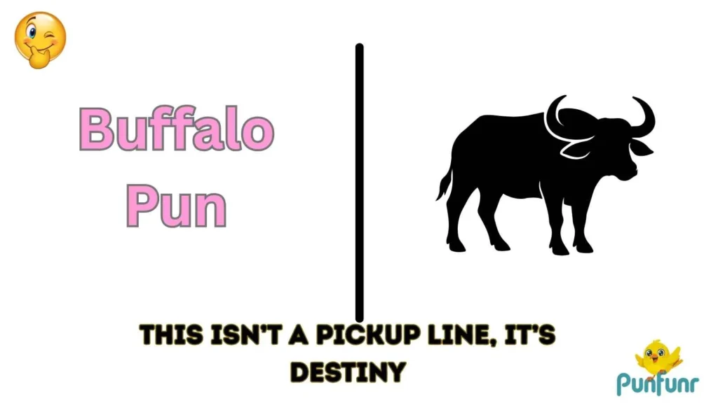 Buffalo Pun