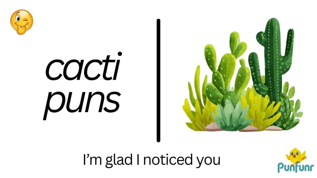 cacti puns