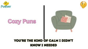 Cozy Puns