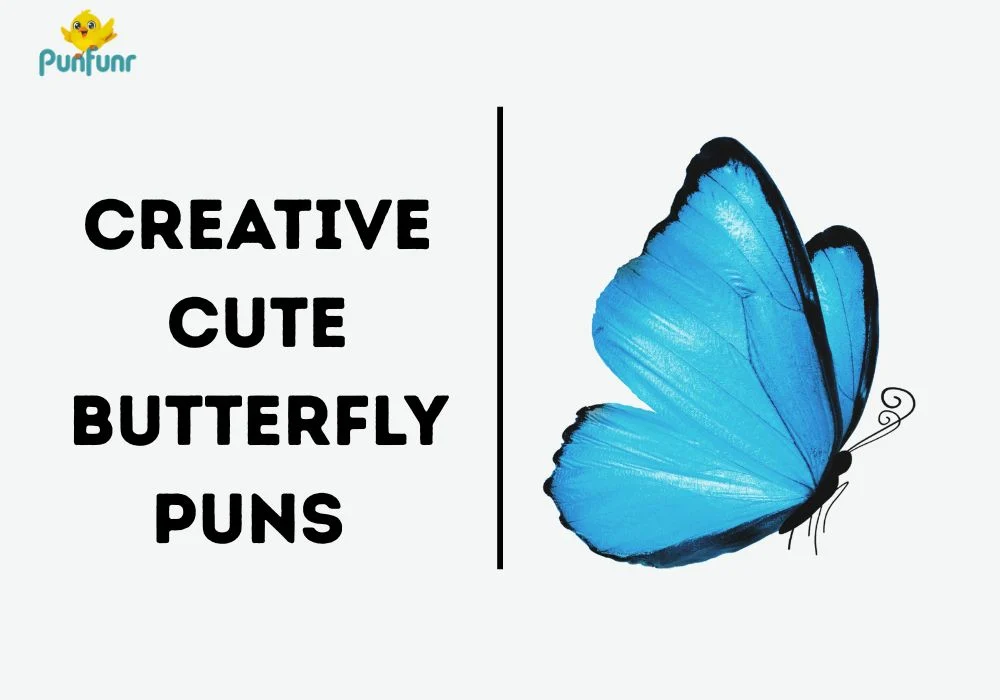 Cute Butterfly Puns for Special Occasions