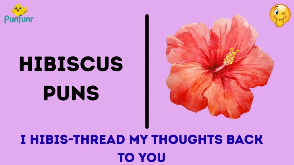 Creative Hibiscus Puns You Haven’t Heard Before