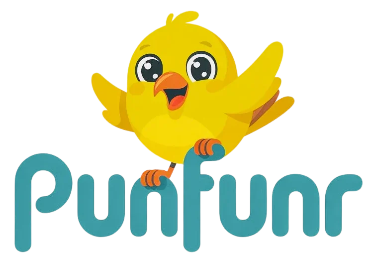 punfunr.com