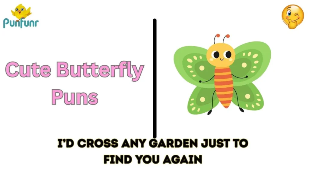 cute butterfly puns
