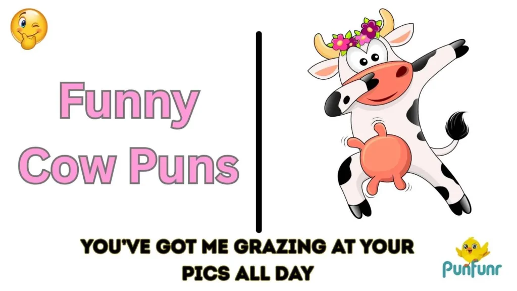 Funny Cow Puns