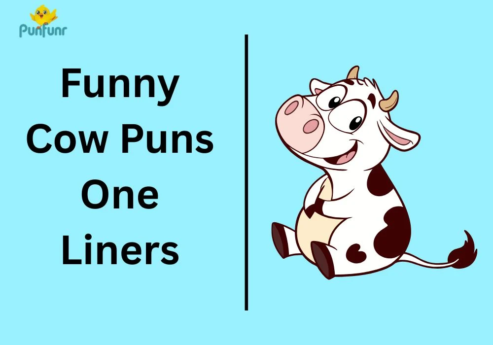 Funny Cow Puns One Liners