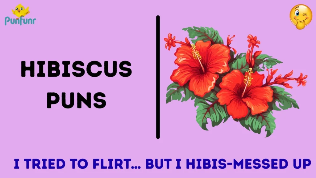 Funny Hibiscus Puns for Laughs