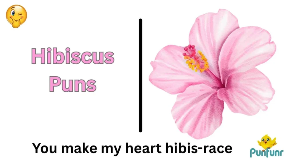 Hibiscus Puns