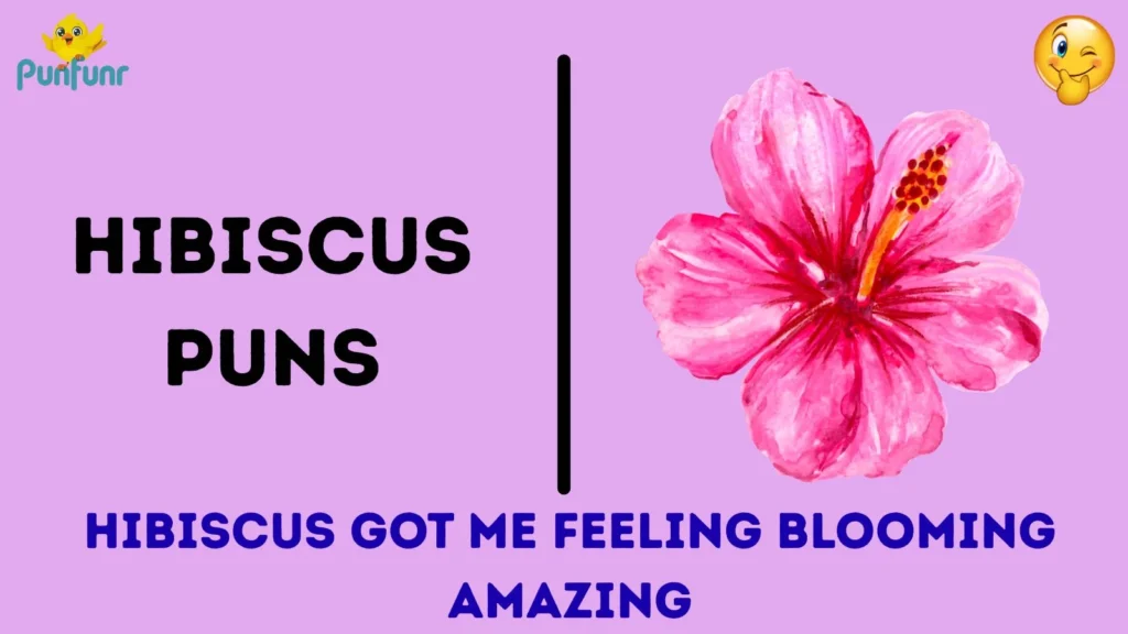 Hibiscus Puns One Liners
