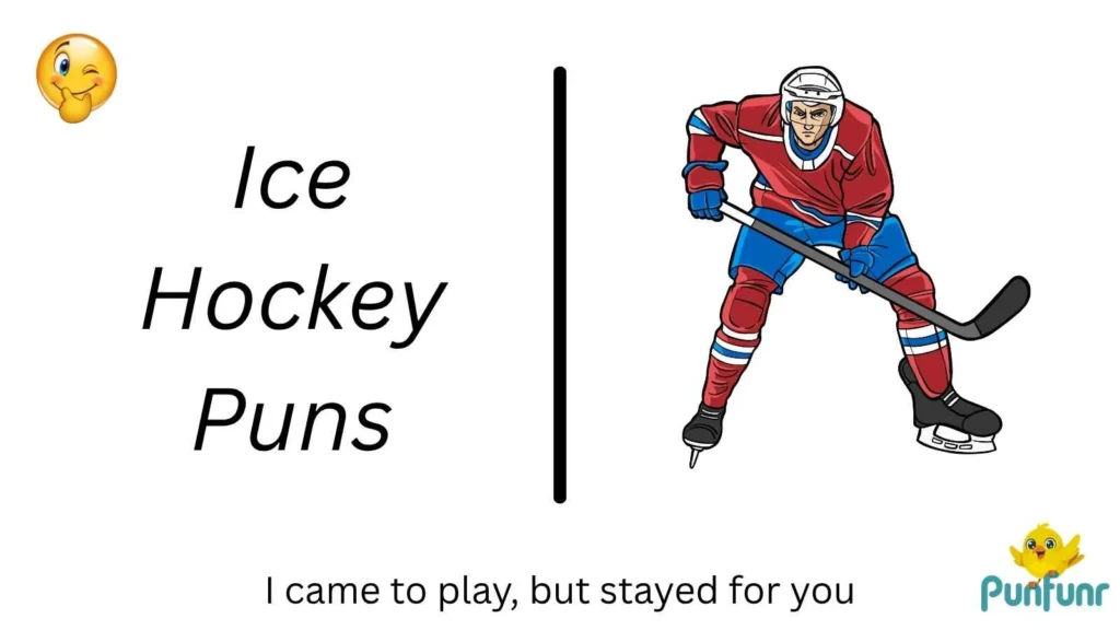 Ice Hockey Puns