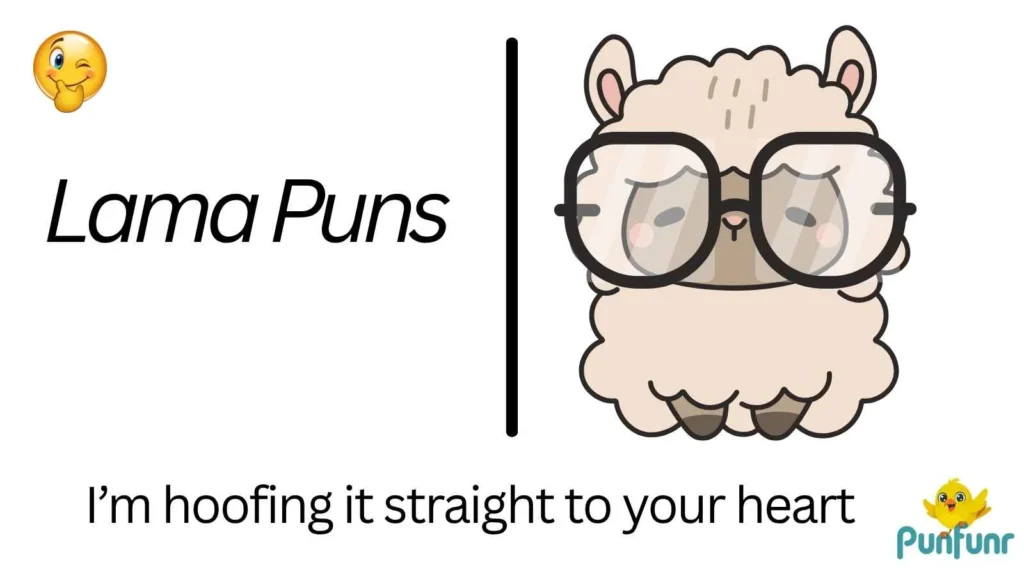 Lama Puns