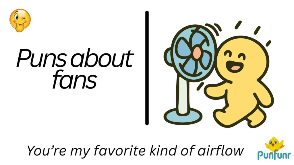 Puns about fans