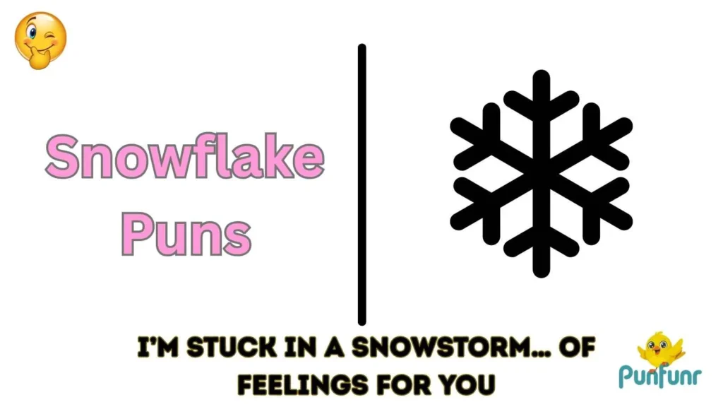 Snowflake Puns
