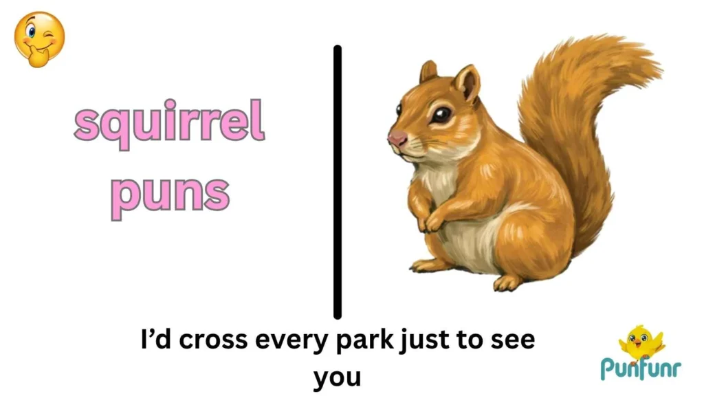 Squirrel Puns