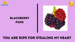 Blackberry Puns