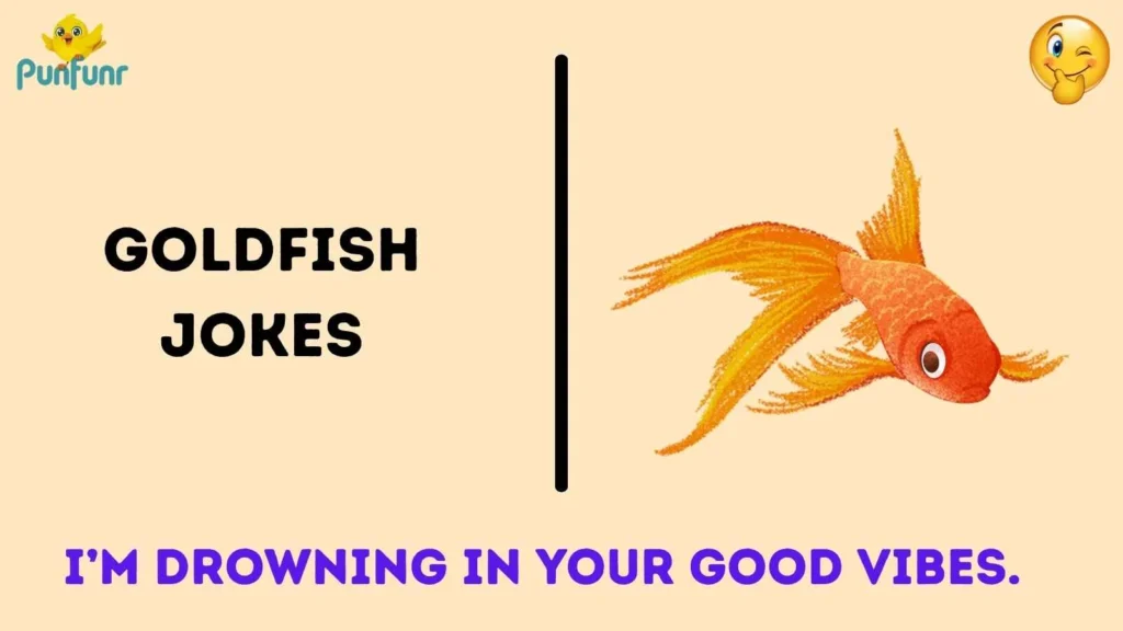 Goldfish Jokes