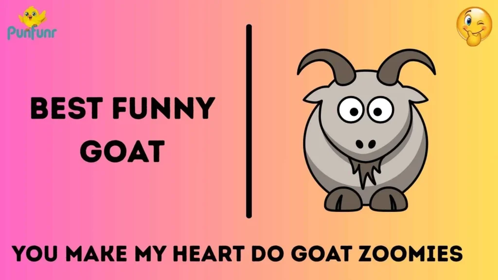 Best funny goat