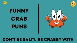 Funny Crab Puns