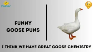 Funny Goose Puns
