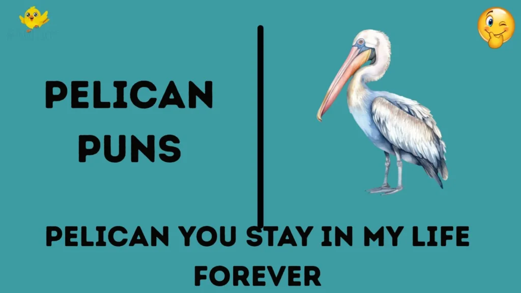 Pelican Puns