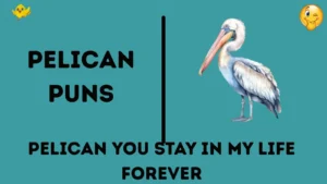 Pelican Puns