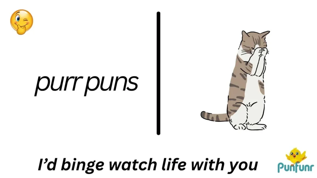 purr puns