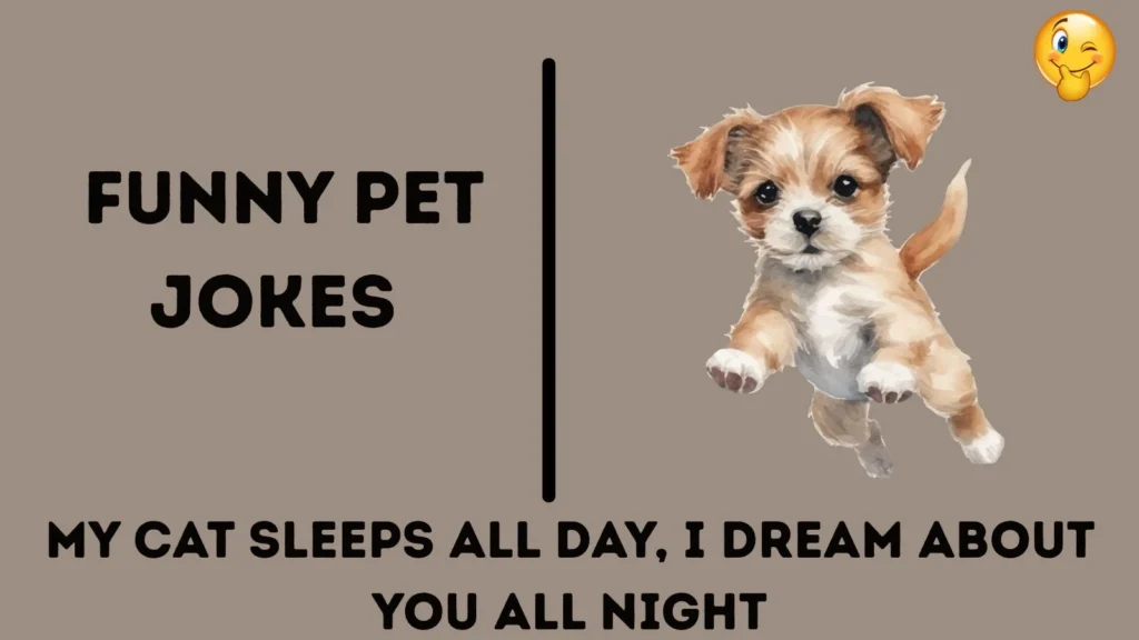 Funny pet jokes