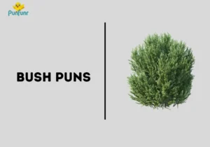 Bush Puns
