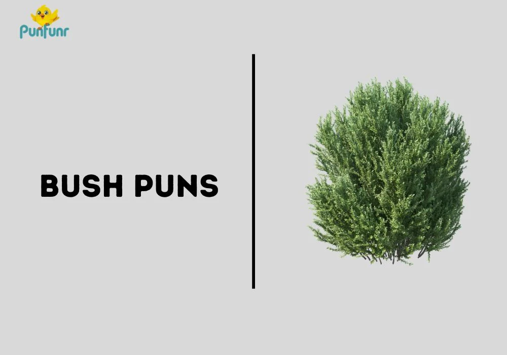 Bush Puns