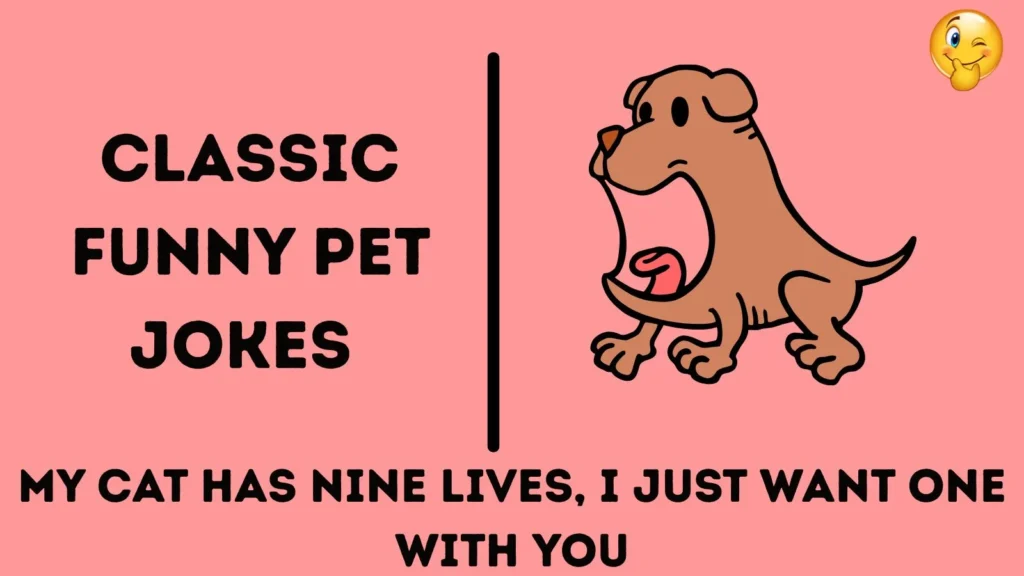 Classic Funny Pet Jokes 