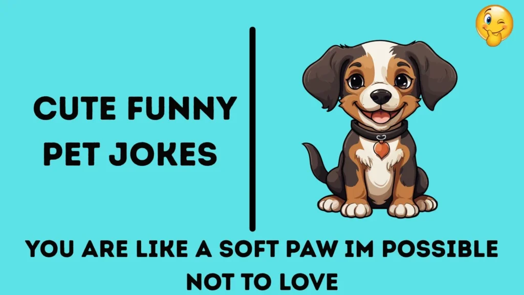 Cute Funny Pet Jokes 