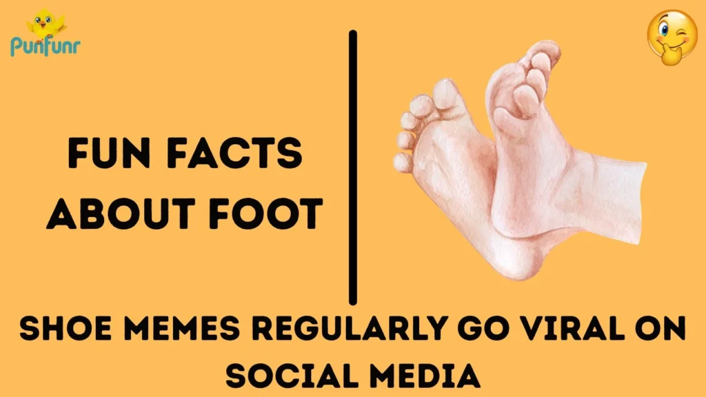 Fun Facts About Foot