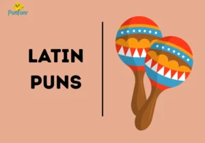 Latin Puns