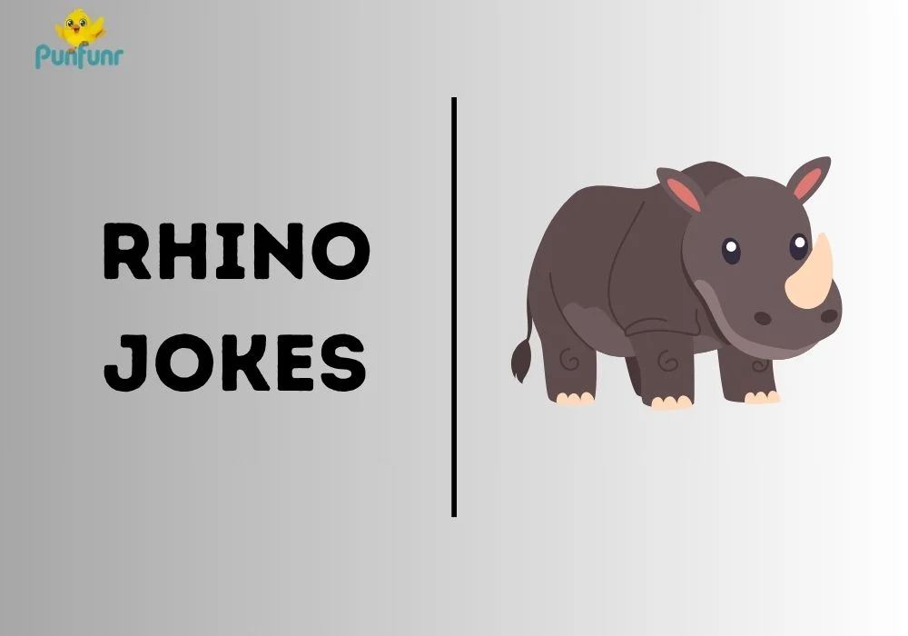 Rhino jokes